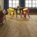 Barlinek Дуб Bonet Medio